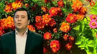 Миржалол Искандаров ижро этган қўшиқлардан