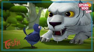 TABLE TENNIS - TASHI - Studio100 KIDS - KIDS cartoons️