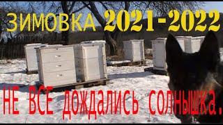 Зимовка 2021-22. НЕ ВСЕ дождались солнышка.