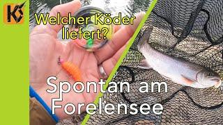 Spontan am Forellensee - Welcher Köder fängt? - Ultra Light Forellenangeln