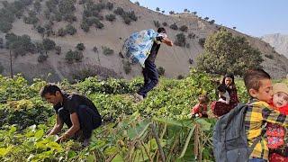 Rural family.  Babak spent a busy day in his field and garden #vlogvideo