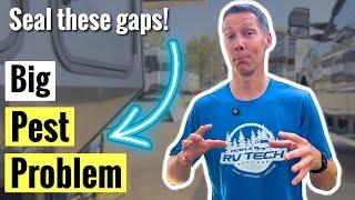 Rodents in Your RV? How to Seal & Protect It