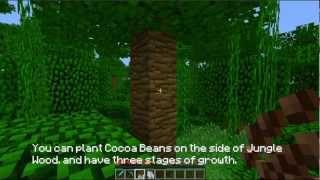 Minecraft Weekly Snapshot (12w19a) - Cocoa Beans & Larger Biomes
