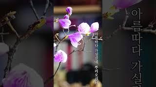 영변에 약산 진달래꽃... | feat. 진달래꽃 (마야)