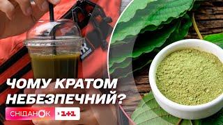 ОБЕРЕЖНО! Кратом — напій що викликає наркотичну залежність