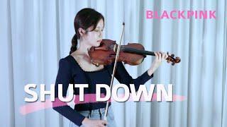 BLACKPINK 블랙핑크 - Shut Down - Violin Cover [by ziaa]