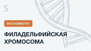 USMLE Step 1 - Филадельфийская хромосома EXPLAINED