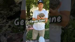 Geode June Day 23 #geodejune #geodeornodule #kentuckygeodes