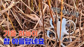 추락한 FPV 드론 5분만에 찾기 | 이것만 알면 드론 수색 끝!