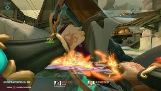 Paladins willo nudes 18+