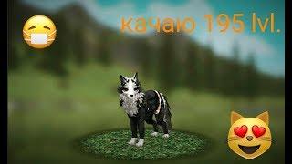 WildCraft:как убить бизона?))_+_качаю лвл.195