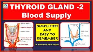 Thyroid gland anatomy | Thyroid gland blood supply | Thyroid gland arterial supply |