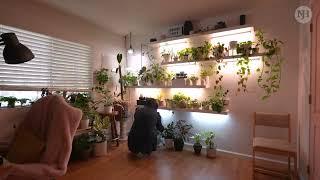 Houseplants: Not Just a Hobby Interview (Trailer) | Bee's House of Plants