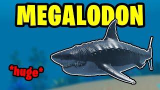 THE NEW MEGALODON IS *HUGE* | ROBLOX: SHARKBITE 2