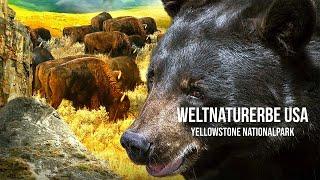 World Natural Heritage USA – Yellowstone National Park (The full NATURE DOCUMENTATION in German)