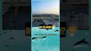 Where history whispers and faith echoes: Medina's timeless allure #facts #shorts #islam