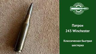 Патрон 243 Winchester, классическая скоростная шестерка