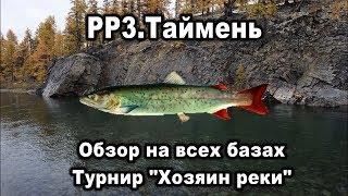 РР3. Таймень. Обзор на всех базах. Турнир "Хозяин реки"