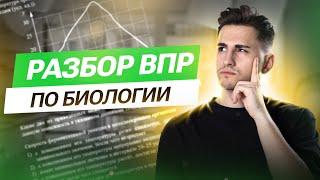 РАЗБОР ВПР по биологии | Федос Кокос | 100балльный репетитор