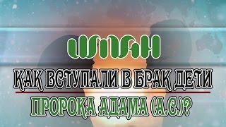 Как вступали в брак дети пророка Адама (а.с.)? ИМАН.