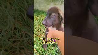 It's not just rabbits that hop around #animals #Friendship #Us#dog