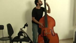 My Cat Tries To Play The Double Bass