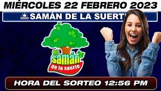 SAMÁN DE LA SUERTE EN VIVO. Resultado último sorteo SAMÁN DE LA SUERTE para hoy 22 DE FEBRERO  2023