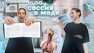 VLOG:ЛЕТНЯЯ СЕССИЯ В МЕДЕ 2 КУРС | ФИЛОСОФИЯ | ЧАСТЬ 1