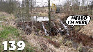 A Beaver Dam Of Incredible Size - Beaver Dam Removal With Excavator No.139