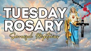 TODAY HOLY ROSARY: SORROWFUL MYSTERIES, ROSARY TUESDAYNOVEMBER 5, 2024  VIRTUAL #holyosarytoday