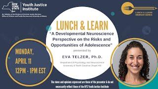 "A Developmental Neuroscience Perspective on the Risks and Opportunities of Adolescence"