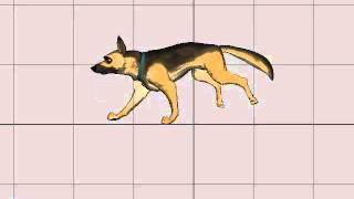 Dog Running Animation