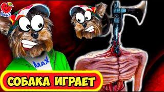 ДВОЙНОЙ СИРЕНОГОЛОВЫЙ поймал МАКСА на  КЛАДБИЩЕ! СОБАКА ИГРАЕТ! (Siren Head) #6 Валеришка Макс