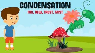 Condensation and it's forms  | Dew, Fog, Frost and Mist | Video for Kids