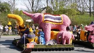 Парад цветов в Голландии Bloemencorso
