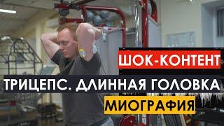 Трицепс. Длинная головка. Миограф. Срач неизбежен