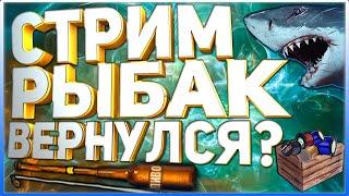 РР3 СТРИМ  Киты  и туры