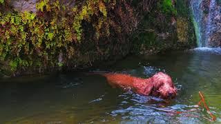 Red Rock Hidden Waterfall 8 mins