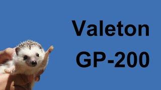 Valeton GP-200 Preset Sound Sample (Guitar & Bass, No Talking)