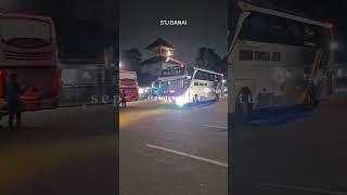 pray for stj Danai #busmania #edit #fyp #shorts