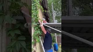 Севик помогает дедушке сделать свет .