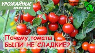 4 НЕ, из-за которых томаты БЫЛИ НЕ СЛАДКИЕ! А какие сорта томатов вас порадовали или удивили?