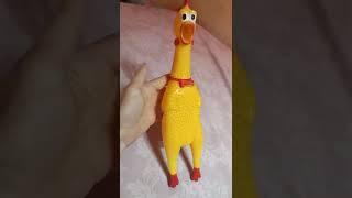 игрушечная курица кричит) toy chicken screaming)