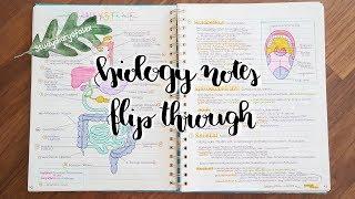 Biology notes flip through