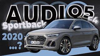 Как снять обшивку двери с снятием стёкол+спойлер+ляда Audi Q5 Sportback (FY)  Пошаговое руководство