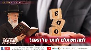 למה משתלם לוותר על האגו? | הרב זמיר כהן בשידור חי