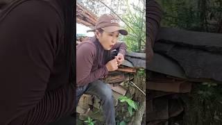 masteran burung memes viral funny moments #funnyvideo