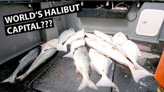 Deep sea FISHING in HOMER ALASKA | King Salmon and Wild Alaskan Halibut!