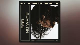 [FREE] R&B LOOP KIT(DRAKE, PND) - "FEEL NO WAYS" | FREE LOOP KIT