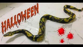 Halloween Decoration D.I.Y (Cheap and easy) Snake